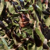   at Vercelli in Hexham