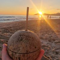  at The Curry House in Benidorm