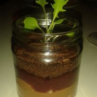 Chocolate mousse at 1847 in Manchester