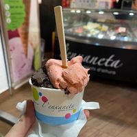 Strawberry + dark chocolate  at L'enxaneta Gelats d'altura in Palafrugell