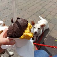 Dark chocolate and mango at L'enxaneta Gelats d'altura in Palafrugell
