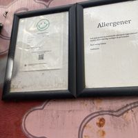   at Bingo in Copenhagen