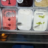 🌱 options   at Cattarissimo in Kotor