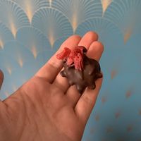 Candied hibiscus flower dipped in chocolate  at De Chocolage in Bladel