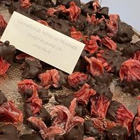 Heerlijk zoet at De Chocolage in Bladel