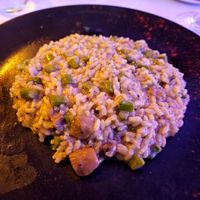 Boletus risotto with added asparagus. at Da Giovanni in Tossa De Mar