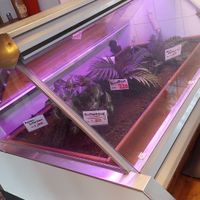  at Zur Alten Fleischerei in Muenster