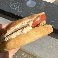 Schiacciata w hummus tomato mushroom & artichoke  at Panini & Co in Arezzo
