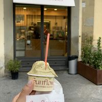   at Gelateria Sunflower in Arezzo