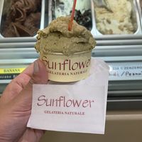   at Gelateria Sunflower in Arezzo