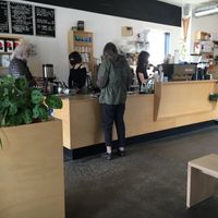 Counter at Ugly Duck in Rochester