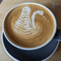 Oat milk latte at Ugly Duck in Rochester