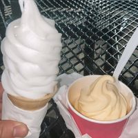 froconut & dole whip at Twistee Treat in Ocoee