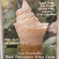 vegan AND dairy free! WOW who would have thought at Twistee Treat in Ocoee