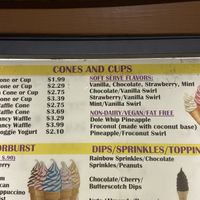 the non-dairy/vegan/fat free section at Twistee Treat in Ocoee