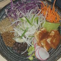 Vegetarian Bowl:
Tofu, fava bean, beans, lentil, quinoa, bulgur, avocado, young onion, carrot, 
red cabbage, radish, daikon radish with tahini sauce at Panorama in Dubrovnik