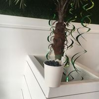 "Astor" oatmeal at Happy Bowls in New York City