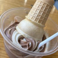 Vanilla and chocolate swirl ice cream   at PlantPub in Cambridge