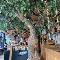   at Peter Pane in Cologne