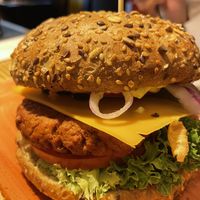 Fliegende Holländer   at Peter Pane in Cologne