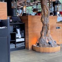 Atmosphere in restaurant   at Peter Pane in Cologne