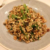 Pigeon food aka barley risotto   at Most in Ljubljana