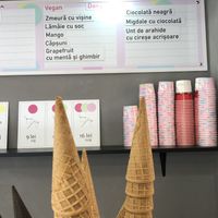 Vegan flavors  at ViceCream in Bucharest