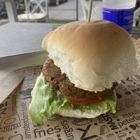   at Peterland in Olbia