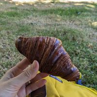  at Maison des Lys Pâtisserie in Auckland