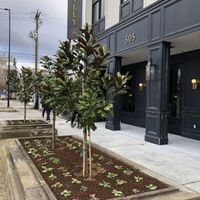 The Lively  at The Lively  in Boise