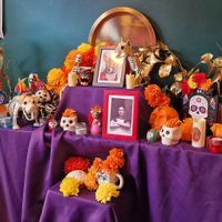  at La Papaya in Poznan