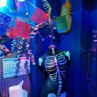  at La Papaya in Poznan