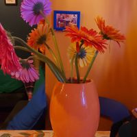  at La Papaya in Poznan