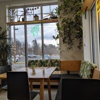 Interior at Rooted and Rind in Delmar