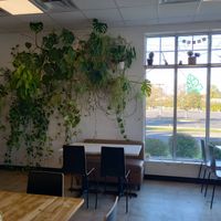 Indoor dining area at Rooted and Rind in Delmar