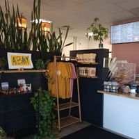 Indoor retail area and ordering counter at Rooted and Rind in Delmar