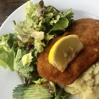 Vegan schnitzel   at Berliner Republik Die Hauptstadtkneipe in Berlin