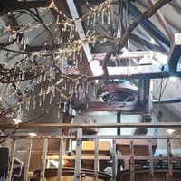  at Zwadderkotmolen in Oudenaarde