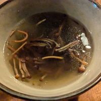 Dashi at Zwadderkotmolen in Oudenaarde