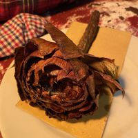 Amazing!  at Urbana 47 in Rome