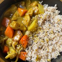 Japanese curry  at The Plant Food  in Central Singapore