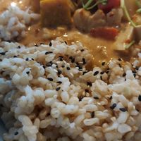 Thai Red Curry is really good! (I think I can drink a whole bowl of the curry lol) at The Plant Food  in Central Singapore