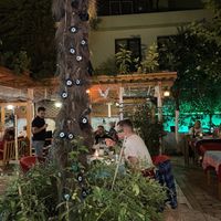 Nice quiet green backyard 🪴  at Hidden Garden  in Istanbul