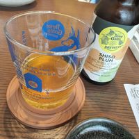 Plum Kombucha 👍🏻 Jan25 at WAKI WAKI Veggie Sushi in Bangkok