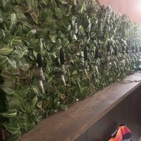 Booch on tap   at Ahimsa Sanctuary in Central Singapore