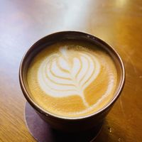   at Ahimsa Sanctuary in Central Singapore