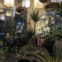 plants! at Papa Tran in Berlin