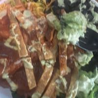   at Plant Junkie Chicago in Chicago