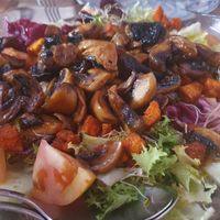  at Shangri-La in Merida