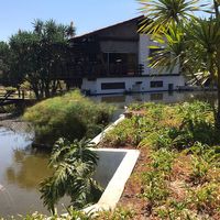 Lake and bridge at Caliandra Café in Brasilia